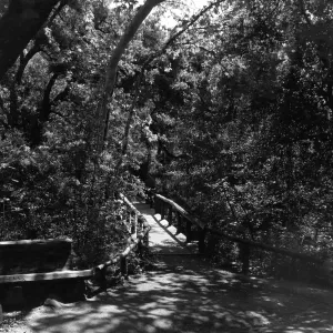 SBBG Campbell Bridge