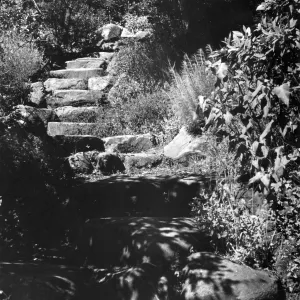 stone steps, Campbell Trail, SBBG
