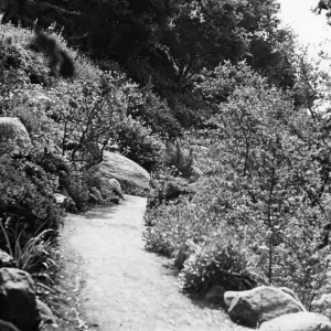 Campbell Trail, SBBG