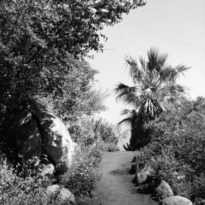 Campbell Trail, SBBG