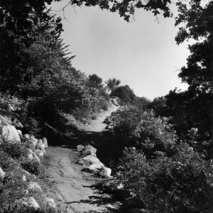 Campbell Trail, SBBG