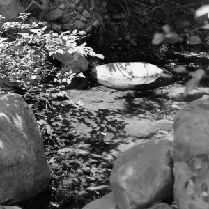 Mission Creek pool, SBBG