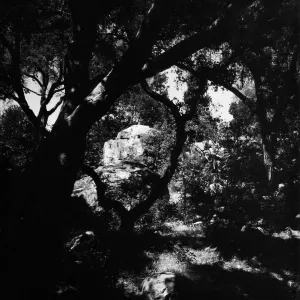 Canyon Section, SBBG