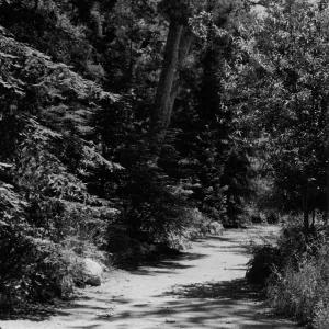 Canyon Section, SBBG