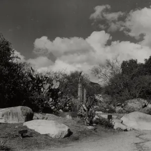 Desert Section, SBBG