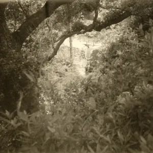 Mission Dam from canyon rim vantage point, SBBG