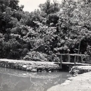 pool above Mission Dam, SBBG