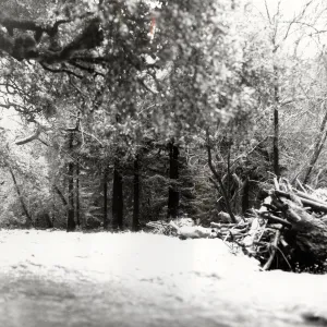 Mission Creek flood, after Coyote Fire 1964