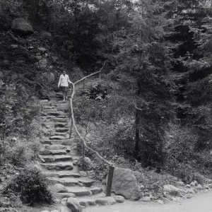 Indian Steps to Redwood Section