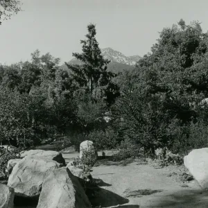 Island Section (historic)