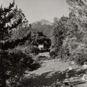 Island Section (historic), ©Josef Muench