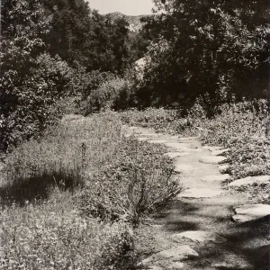 Island Trail (historic)