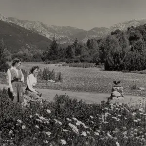 Strawberry Meadow, © Josef Muench