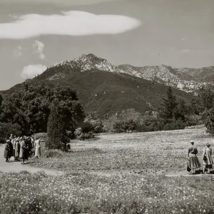 SBBG Meadow, mountain view, Little Gardens Club