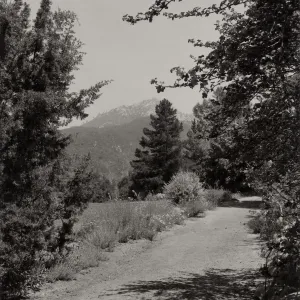 SBBG, Meadow Pathway, mountain view