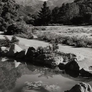 SBBG, Meadow Path and Pond, mountain view