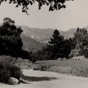 SBBG, Meadow, mountain view