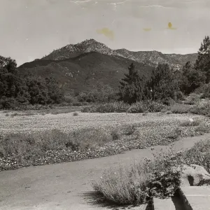 SBBG, Meadow, Mountain view