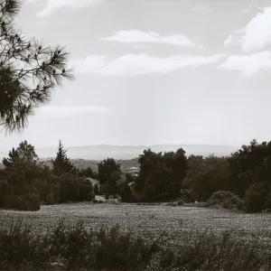SBBG, Meadow, Santa Cruz Island view