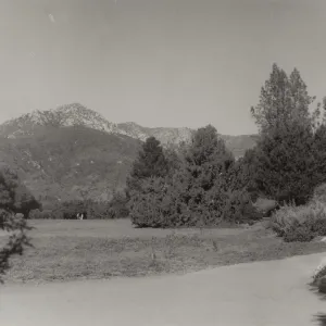 SBBG Meadow, mountain view