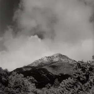 SBBG Meadow, mountain view