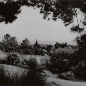 view to Santa Cruz Island over the Meadow, SBBG
