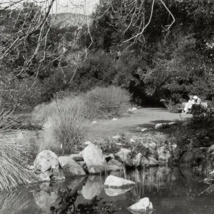 Two women sitting on a wood bench near the pond, SBBG