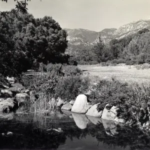 Pond, SBBG