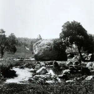 Botanic Garden pond behind the Blaksley Boulder