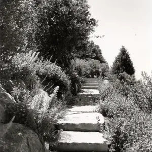 steps to Porter Trail from Mission Canyon Road