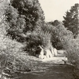 Porter Trail