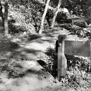 Southerly approach to Pritchett Trail, 1948