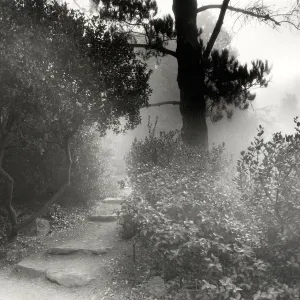 Woodland Trail, SBBG