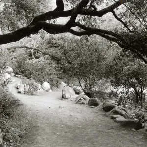 Woodland Trail, SBBG