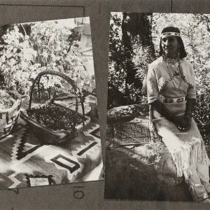 SBBG, Indian Summer 1971