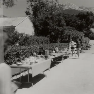 Sale of Garden Related Items, 1979