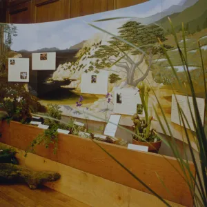 Exhibit: Treasures of the Flora