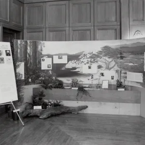 Exhibit: Treasures of the Flora