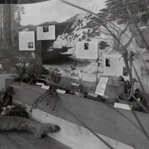 Exhibit: Treasures of the Flora