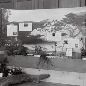 Exhibit: Treasures of the Flora