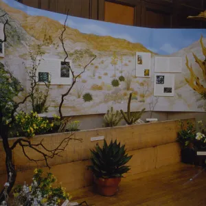 Exhibit: Treasures of the Flora