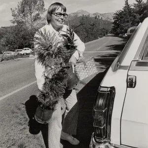 Plant Sale, 1972