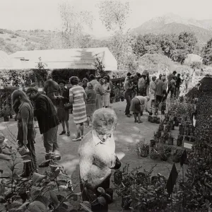 Plant Sale, 1972
