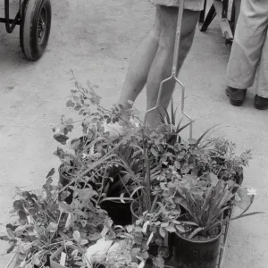 Spring Plant Sale