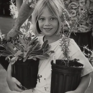 Fall Plant Sale 1991