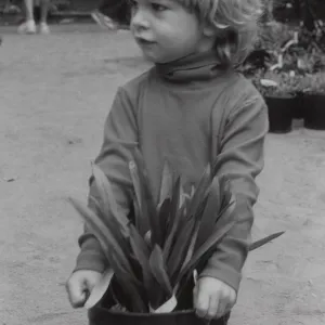 Plant Sale
