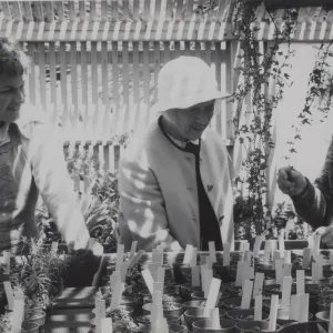 Garden Growers preparing for Plant Sale