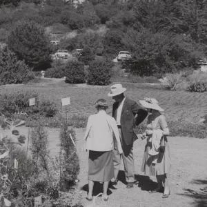 The Annual Plant Sale, 1961