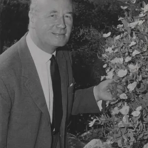 Lord Talbot with Dendromecon