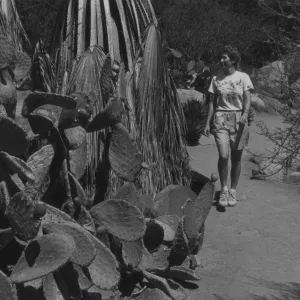 Brett Lumbley in Desert Section